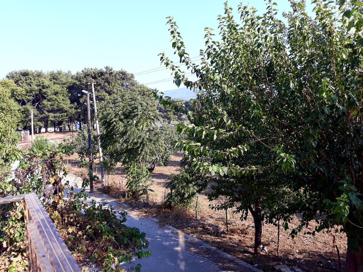 سلجوك Can Efes Hotel المظهر الخارجي الصورة
